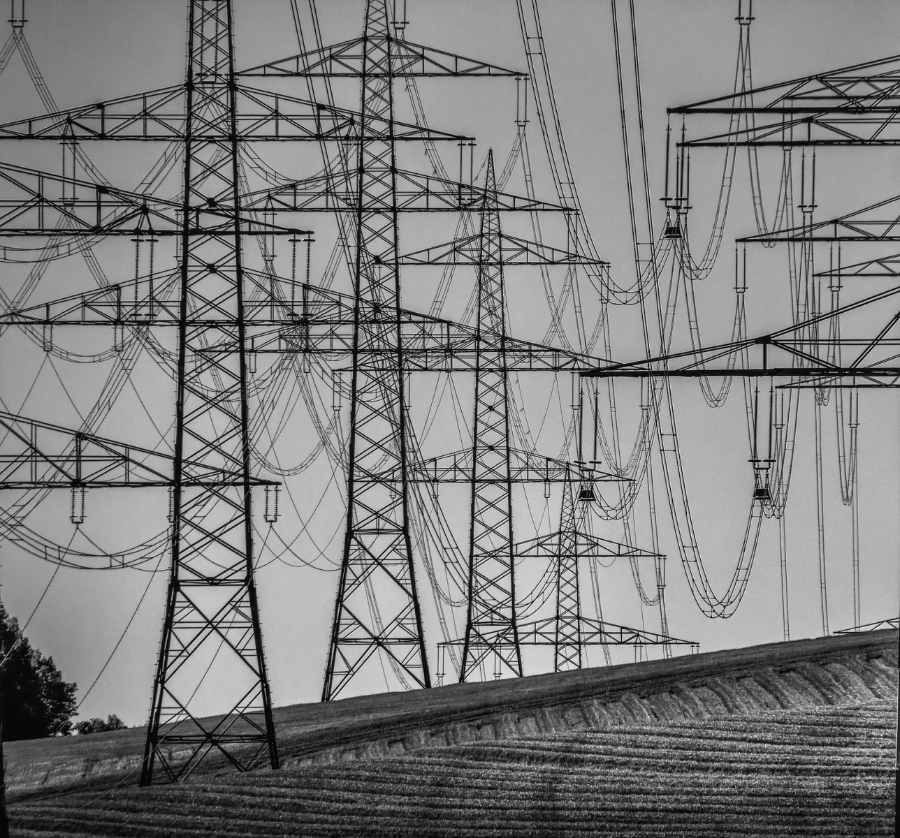 Electricidad y suministros energéticos. Bono social