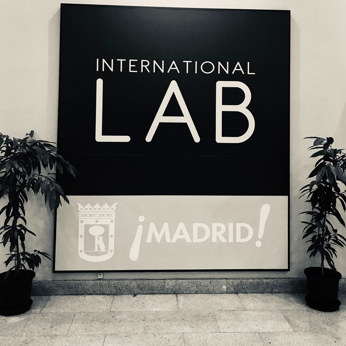 International Lab